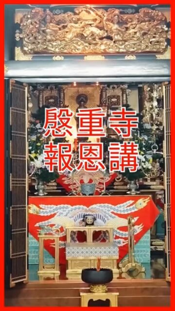 2025報恩講 午前の法要
#真宗大谷派#東本願寺#親鸞聖人#蓮如上人#南無阿弥陀#念仏#愛知県#一宮市#報恩講#お東#彼岸#永代経#おそうじサロン#念珠作り#能登半島地震
#能登半島地震義援金#ラジオ体操#お勤めの稽古#正信偈の稽古#平和の鐘#流しそうめん#終戦の日#広島長崎#原爆の日#おみがき#竹灯籠#盂蘭盆会#ライトアップ